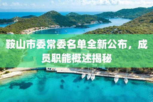 鞍山市委常委名單全新公布，成員職能概述揭秘