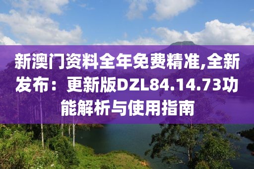 新澳門資料全年免費(fèi)精準(zhǔn),全新發(fā)布：更新版DZL84.14.73功能解析與使用指南