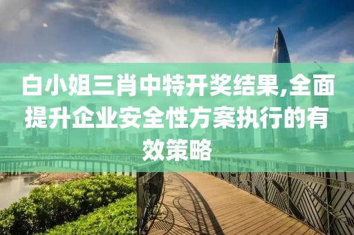 白小姐三肖中特開獎結(jié)果,全面提升企業(yè)安全性方案執(zhí)行的有效策略