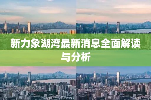 新力象湖灣最新消息全面解讀與分析
