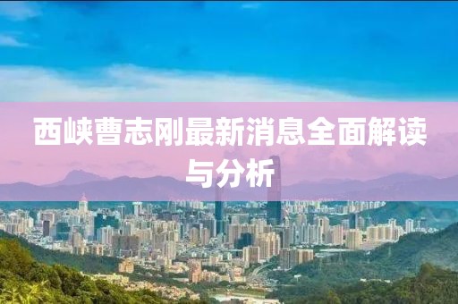 西峽曹志剛最新消息全面解讀與分析