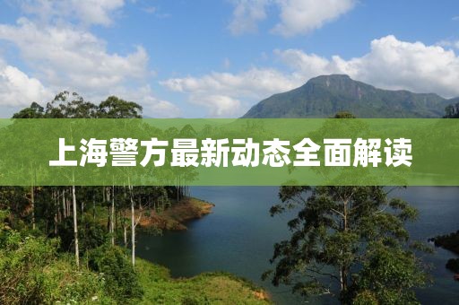 上海警方最新動(dòng)態(tài)全面解讀