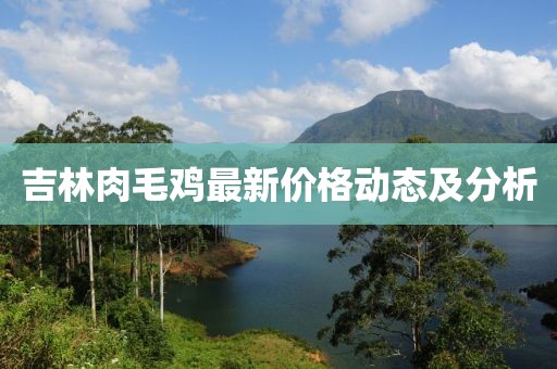 吉林肉毛雞最新價格動態(tài)及分析