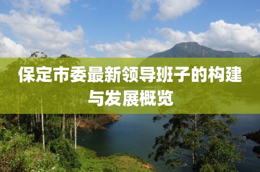 保定市委最新領(lǐng)導(dǎo)班子的構(gòu)建與發(fā)展概覽