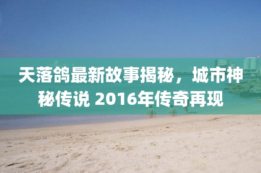 天落鴿最新故事揭秘，城市神秘傳說 2016年傳奇再現(xiàn)