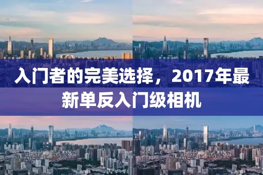 入門者的完美選擇，2017年最新單反入門級相機