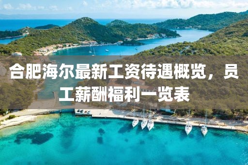 合肥海爾最新工資待遇概覽，員工薪酬福利一覽表