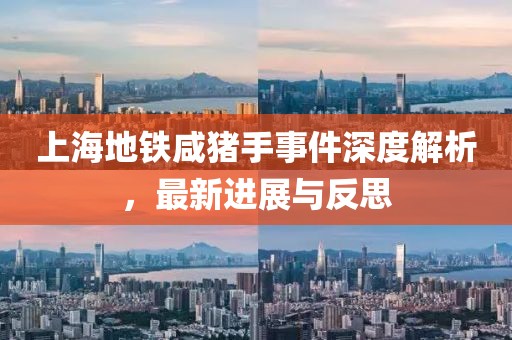 上海地鐵咸豬手事件深度解析，最新進展與反思