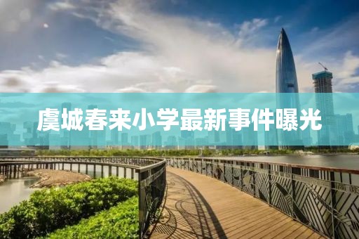 虞城春來小學(xué)最新事件曝光