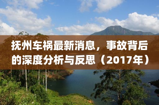 撫州車(chē)禍最新消息，事故背后的深度分析與反思（2017年）