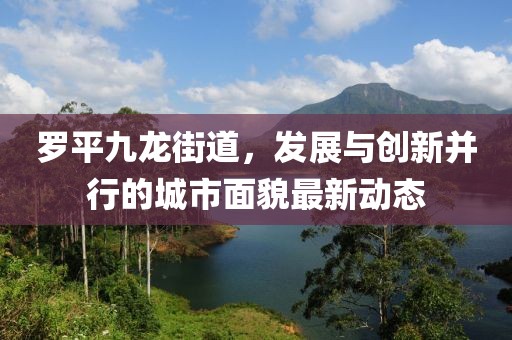 羅平九龍街道，發(fā)展與創(chuàng)新并行的城市面貌最新動(dòng)態(tài)