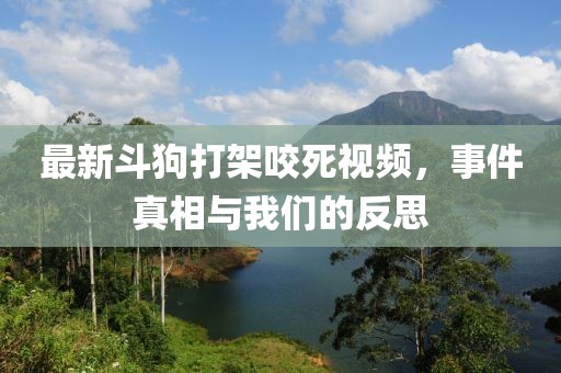 最新斗狗打架咬死視頻，事件真相與我們的反思