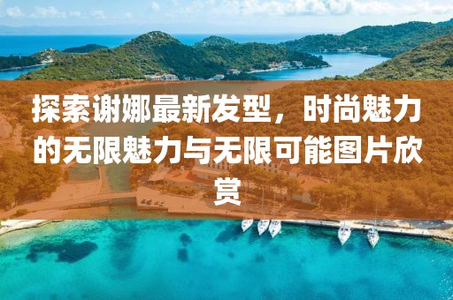 探索謝娜最新發(fā)型，時尚魅力的無限魅力與無限可能圖片欣賞