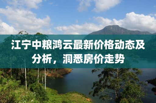 江寧中糧鴻云最新價格動態(tài)及分析，洞悉房價走勢