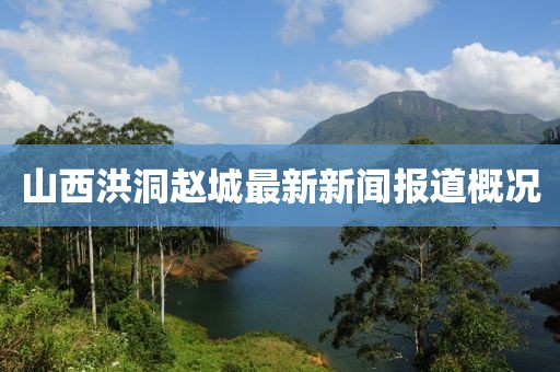 山西洪洞趙城最新新聞報(bào)道概況