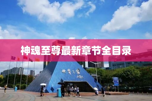 神魂至尊最新章節(jié)全目錄