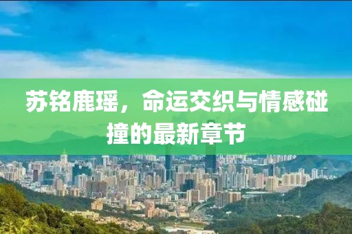蘇銘鹿瑤，命運(yùn)交織與情感碰撞的最新章節(jié)