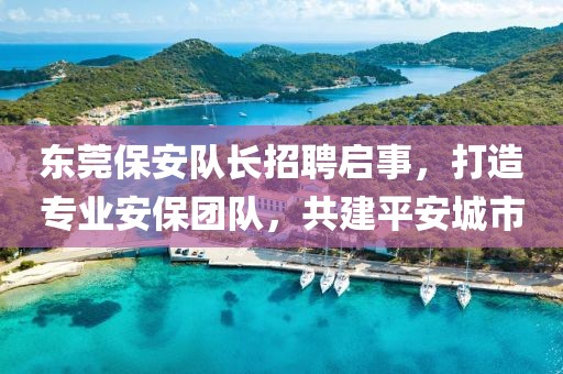 東莞保安隊(duì)長招聘啟事，打造專業(yè)安保團(tuán)隊(duì)，共建平安城市