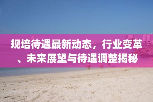 規(guī)培待遇最新動態(tài)，行業(yè)變革、未來展望與待遇調(diào)整揭秘