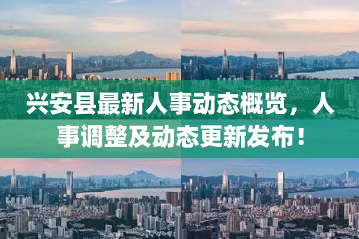 興安縣最新人事動(dòng)態(tài)概覽，人事調(diào)整及動(dòng)態(tài)更新發(fā)布！