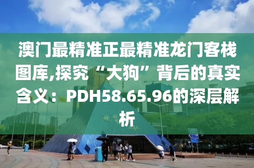 澳門最精準正最精準龍門客棧圖庫,探究“大狗”背后的真實含義：PDH58.65.96的深層解析