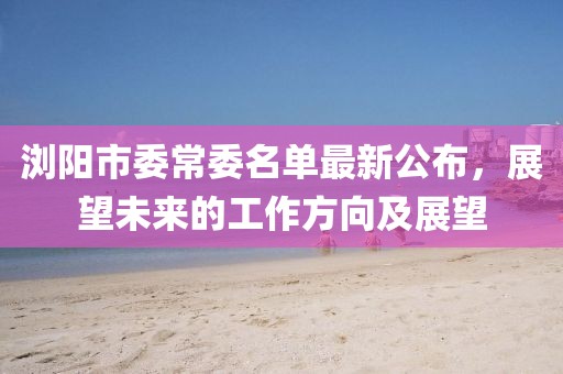 瀏陽(yáng)市委常委名單最新公布，展望未來(lái)的工作方向及展望