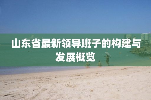 山東省最新領(lǐng)導(dǎo)班子的構(gòu)建與發(fā)展概覽