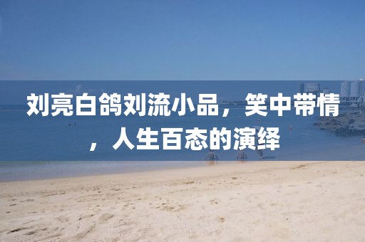 劉亮白鴿劉流小品，笑中帶情，人生百態(tài)的演繹