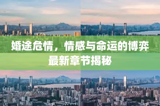 婚途危情，情感與命運(yùn)的博弈最新章節(jié)揭秘