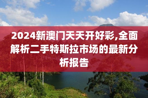 2024新澳門天天開好彩,全面解析二手特斯拉市場的最新分析報告