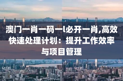 澳門一肖一碼一l必開一肖,高效快速處理計劃：提升工作效率與項目管理