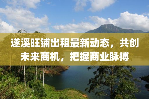 遂溪旺鋪出租最新動態(tài)，共創(chuàng)未來商機，把握商業(yè)脈搏