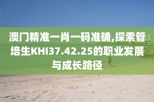 澳門精準(zhǔn)一肖一碼準(zhǔn)確,探索管培生KHI37.42.25的職業(yè)發(fā)展與成長路徑