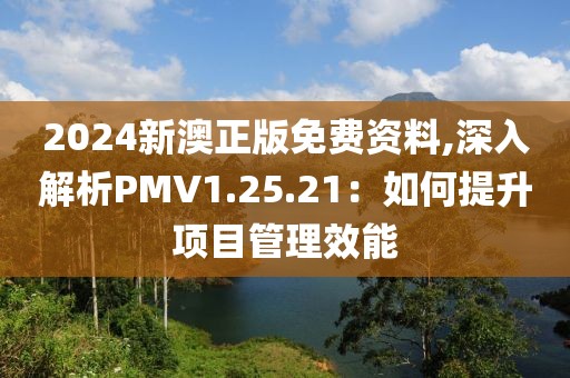 2024新澳正版免費資料,深入解析PMV1.25.21：如何提升項目管理效能