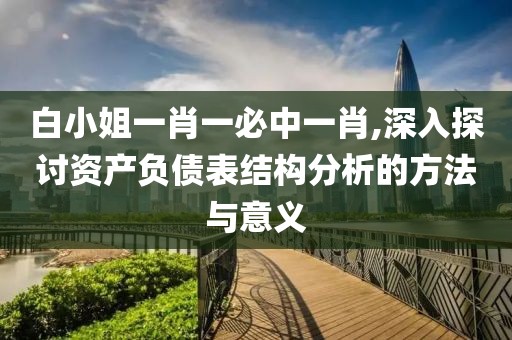 白小姐一肖一必中一肖,深入探討資產(chǎn)負債表結(jié)構(gòu)分析的方法與意義