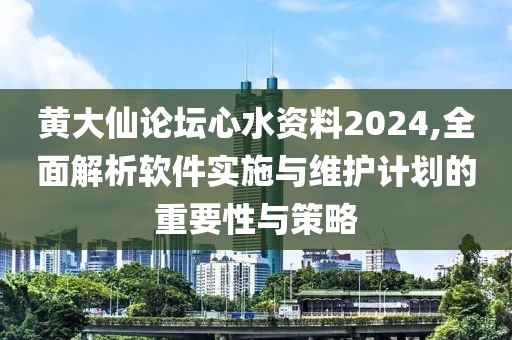 黃大仙論壇心水資料2024,全面解析軟件實(shí)施與維護(hù)計(jì)劃的重要性與策略