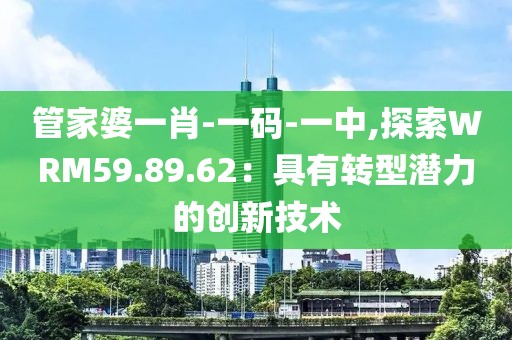 管家婆一肖-一碼-一中,探索WRM59.89.62：具有轉(zhuǎn)型潛力的創(chuàng)新技術(shù)