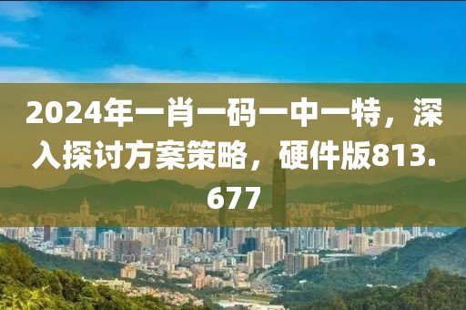 2024年一肖一碼一中一特，深入探討方案策略，硬件版813.677