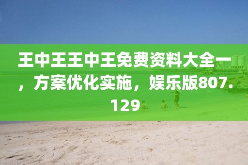 王中王王中王免費(fèi)資料大全一，方案優(yōu)化實(shí)施，娛樂(lè)版807.129