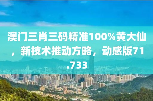 澳門三肖三碼精準100%黃大仙，新技術推動方略，動感版71.733