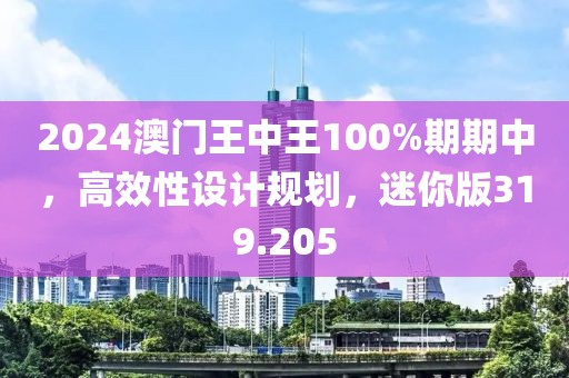 2024澳門王中王100%期期中，高效性設(shè)計規(guī)劃，迷你版319.205