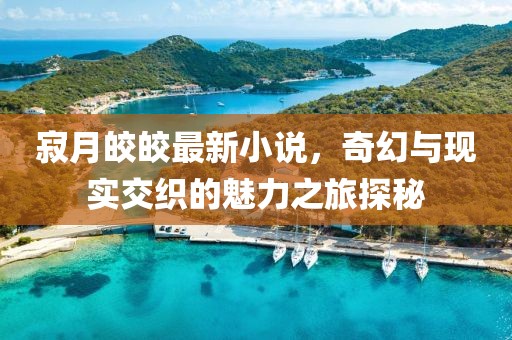 寂月皎皎最新小說，奇幻與現(xiàn)實(shí)交織的魅力之旅探秘