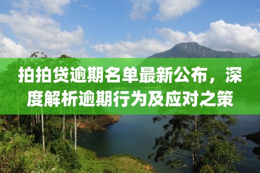 拍拍貸逾期名單最新公布，深度解析逾期行為及應(yīng)對(duì)之策