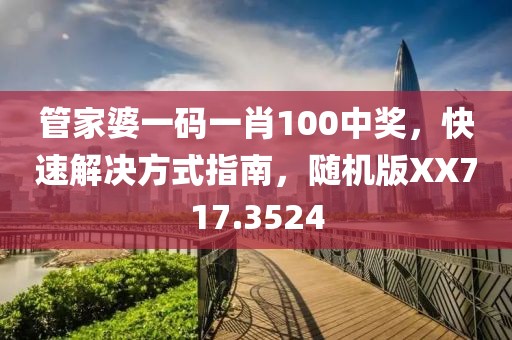 管家婆一碼一肖100中獎，快速解決方式指南，隨機版XX717.3524