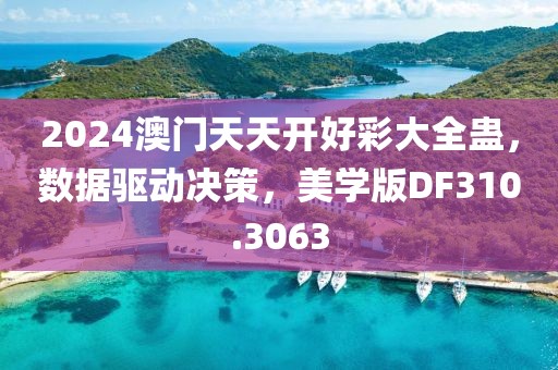 2024澳門天天開好彩大全蠱，數(shù)據(jù)驅(qū)動(dòng)決策，美學(xué)版DF310.3063