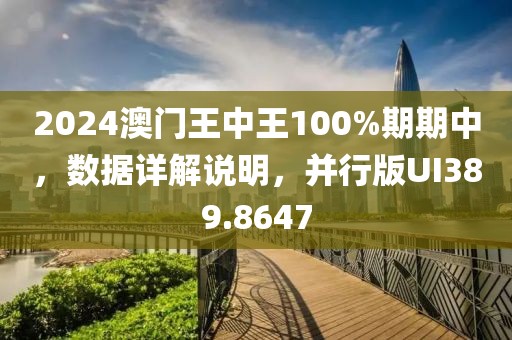 2024澳門王中王100%期期中，數(shù)據(jù)詳解說明，并行版UI389.8647