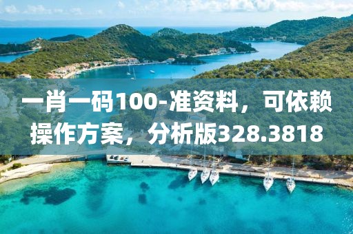 一肖一碼100-準(zhǔn)資料，可依賴操作方案，分析版328.3818