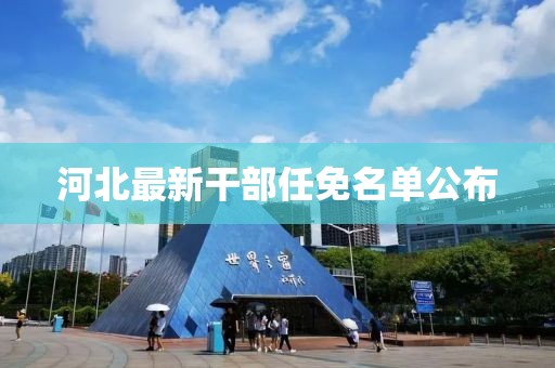 河北最新干部任免名單公布