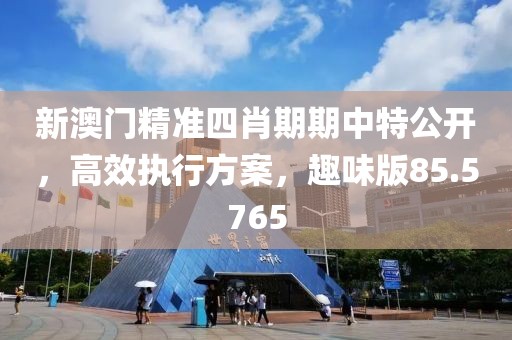 新澳門精準四肖期期中特公開，高效執(zhí)行方案，趣味版85.5765