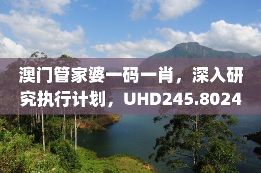 澳門管家婆一碼一肖，深入研究執(zhí)行計劃，UHD245.8024